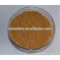 Fine Powder Pilose Asiabell Root extract , radix codonopsis pilosulae , Codonopsis ExtractP.E.